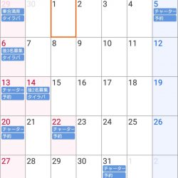 遊漁船 家入 釣果