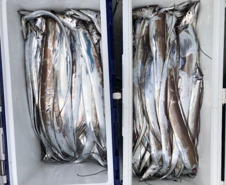 フィッシング キッタカ 釣果