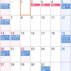 遊漁船 家入 釣果