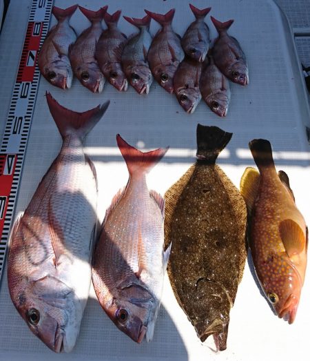 遊漁船 家入 釣果