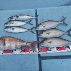 清和丸 釣果
