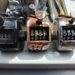 フィッシング キッタカ 釣果