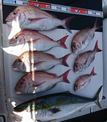 遊漁船 家入 釣果