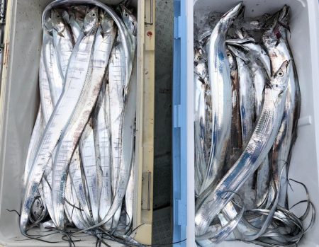 フィッシング キッタカ 釣果