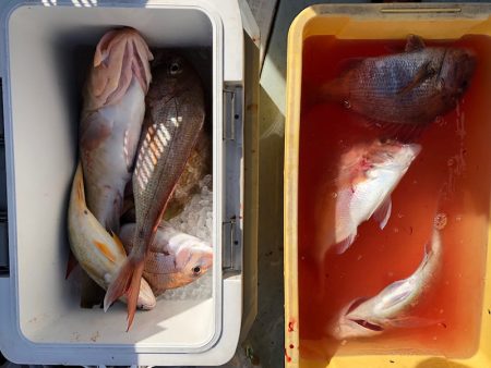 フィッシング キッタカ 釣果