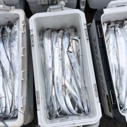 フィッシング キッタカ 釣果