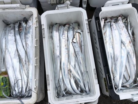 フィッシング キッタカ 釣果