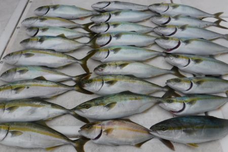 JDI Racing シールズマリンレジャー 釣果