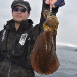渡船屋たにぐち 釣果