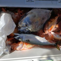 海龍丸（石川） 釣果