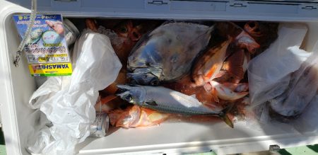 海龍丸（石川） 釣果