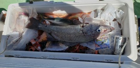 海龍丸（石川） 釣果