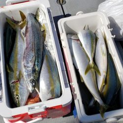 海龍丸(石川) 釣果