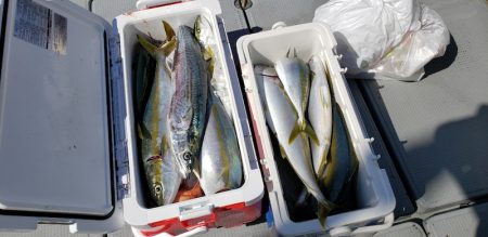 海龍丸(石川) 釣果