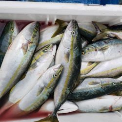 海龍丸(石川) 釣果
