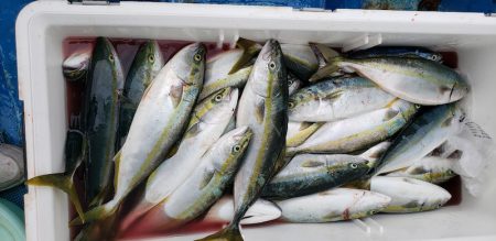 海龍丸(石川) 釣果