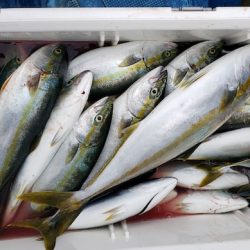 海龍丸(石川) 釣果