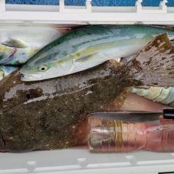 海龍丸(石川) 釣果