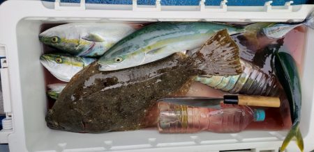 海龍丸(石川) 釣果