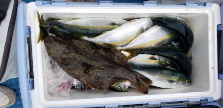 海龍丸(石川) 釣果