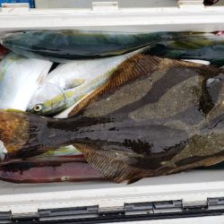 海龍丸(石川) 釣果