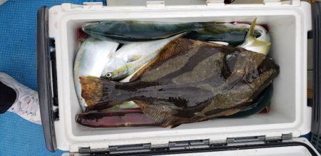 海龍丸(石川) 釣果