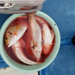 海龍丸（石川） 釣果