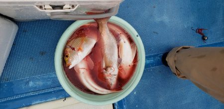 海龍丸（石川） 釣果