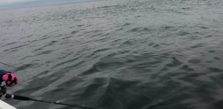 「LaGooN」蒼陽丸 日和号 釣果