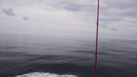 第二龍勢丸 釣果