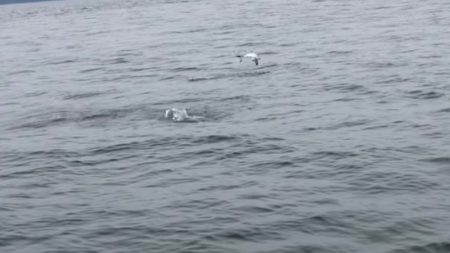 「LaGooN」蒼陽丸 日和号 釣果