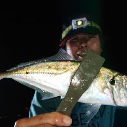 シースナイパー海龍 釣果