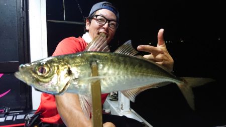 シースナイパー海龍 釣果