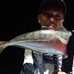 シースナイパー海龍 釣果