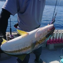 鷹王丸 釣果