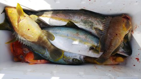 第二龍勢丸 釣果