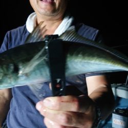 シースナイパー海龍 釣果