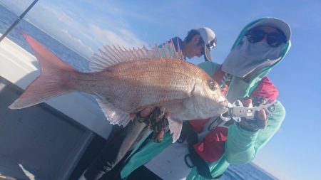 だて丸 釣果