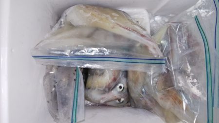 第二龍勢丸 釣果