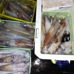 第二龍勢丸 釣果