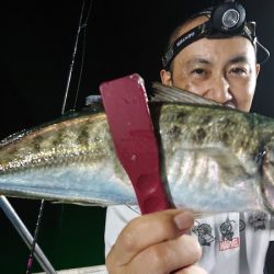 シースナイパー海龍 釣果