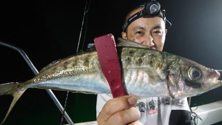 シースナイパー海龍 釣果
