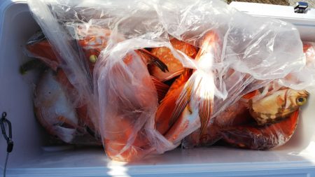 第二龍勢丸 釣果