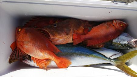 第二龍勢丸 釣果