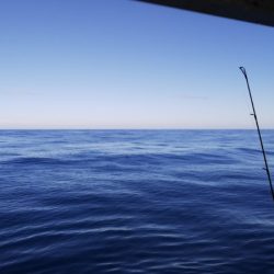 第二龍勢丸 釣果