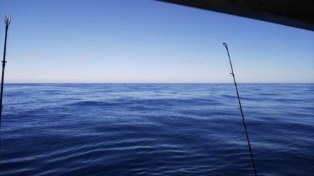 第二龍勢丸 釣果