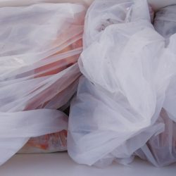 第二龍勢丸 釣果