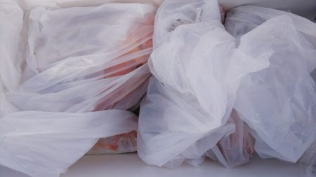 第二龍勢丸 釣果