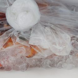 第二龍勢丸 釣果