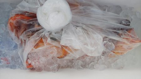 第二龍勢丸 釣果